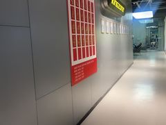 -空中健身·游泳(季佳荟新华家园店)