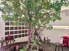 -静耳元気采耳·按摩·SPA(万象前海店)