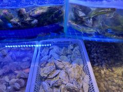 -星伦多自助料理(华润万象城店)