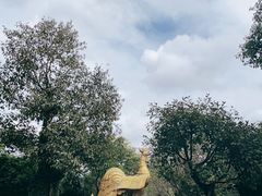 -云南勐巴娜西珍奇园