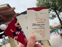 -上海迪士尼度假区