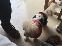 -巧手推拿中心(盲人推拿)