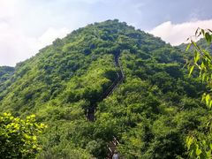 -大岭沟猕猴桃谷风景区