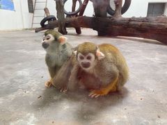 -西安秦岭野生动物园