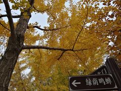 -康庄公园