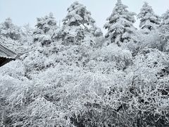-峨眉山风景名胜区