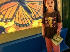 -上海昆虫博物馆