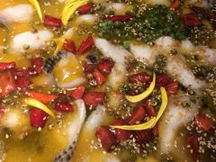 撒椒酸菜鱼-撒椒·四川江湖菜(大族广场店)