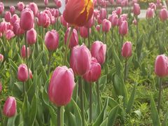 -长春公园(普阳街道)