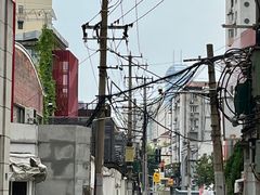 -陈记栗子(长宁路店)