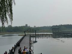 -溱湖国家湿地公园