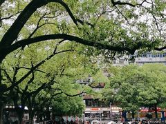 -卡拉多(上饶人民广场店)