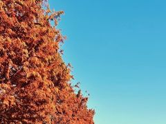 -祝甸砖窑文化馆