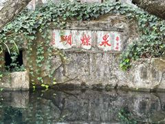-蝴蝶泉公园