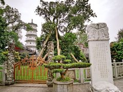 -国恩寺