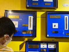 -上海昆虫博物馆