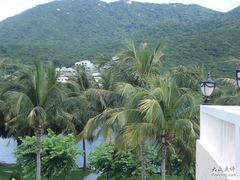 -三亚亚龙湾金棕榈度假酒店