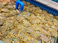 -一方渔歌蒸汽海鲜自助(文化路万达广场店)