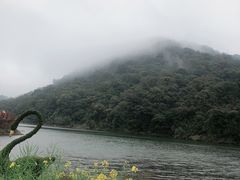 -广州市石门国家森林公园