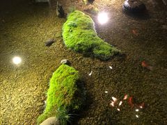 -几荷·恰似故人来(秀水广场店)