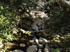 -七仙岭温泉国家森林公园