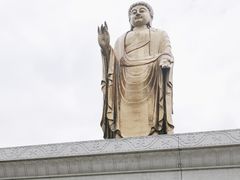 -中原大佛景区