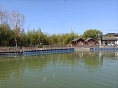 -白塔湖国家湿地公园