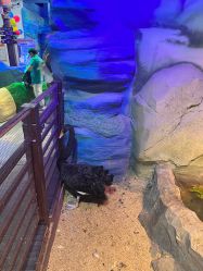 -酷嗒动物文化乐园(cutezoo西溪乐天城店)