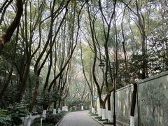 -杭州半山国家森林公园