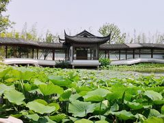 -上海滨江森林公园