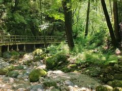 -牛背梁国家森林公园