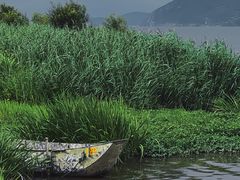 -大理洱海