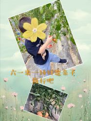 -麦粒鸟亲子游