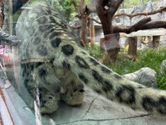 -青藏高原野生动物园