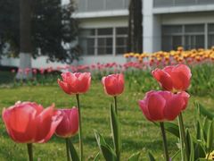 -杭州萧山国际机场