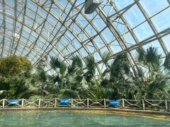 -盛泰恐龙谷温泉