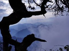 -光雾山旅游景区