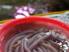-厦门第七菜市场