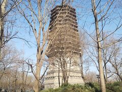 -玲珑塔公园