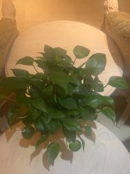 -北京俪婴妇产医院(朝阳大悦城店)