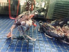 -达叔香味海鲜(海棠68环球美食街店)