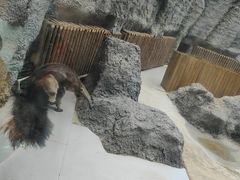 -武汉动物园