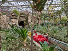 -南宫五洲植物乐园