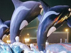 -上海海昌海洋公园