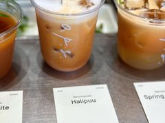 -O.P.S. CAFE