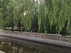 -元大都城垣遗址公园