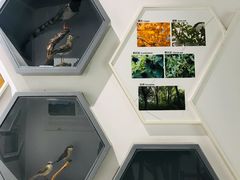 -房山世界地质公园博物馆