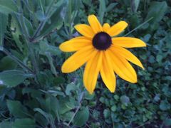 -青峰峡国家森林公园