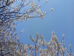 -咸宁万豪温泉谷度假区