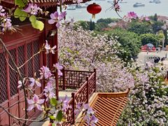-南沙天后宫景区